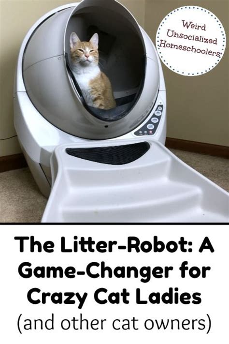 Magic litter box for felines